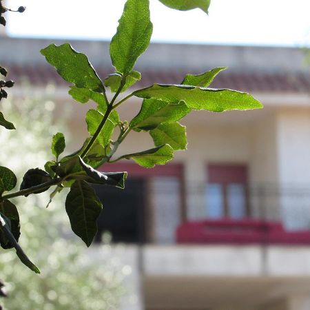 Villa Il Giovane Alloro Martina Franca Ngoại thất bức ảnh